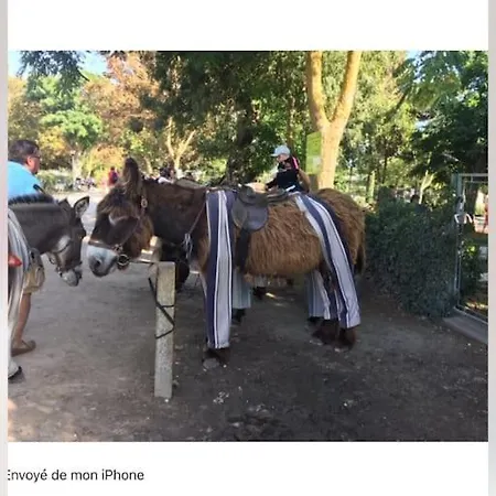 Eole, Idealement Situe Sur Le Port De St Martin De Re